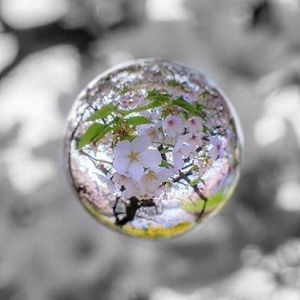 Meet your Posher, Marie